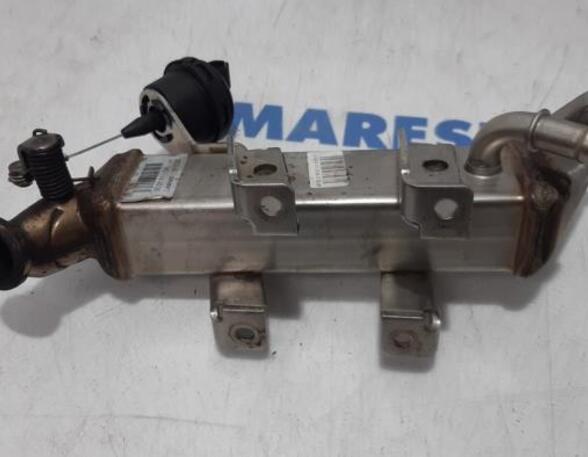 EGR Valve RENAULT ESPACE IV (JK0/1_)