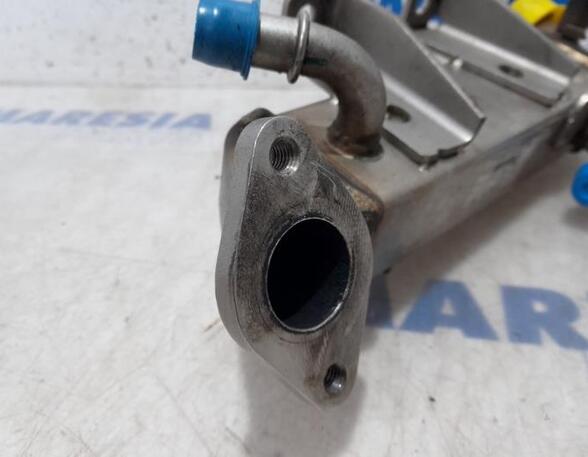 EGR Valve RENAULT LAGUNA III Grandtour (KT0/1)