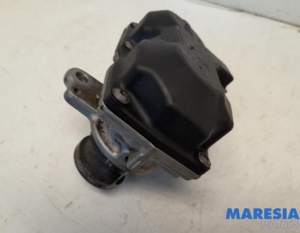 EGR Valve RENAULT TRAFIC III Van (FG_)