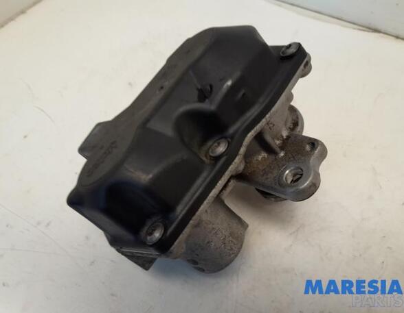 EGR Valve RENAULT TRAFIC III Van (FG_)