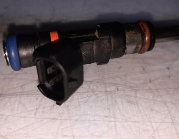 Injector Nozzle RENAULT Captur I (H5, J5), RENAULT Clio IV (BH)