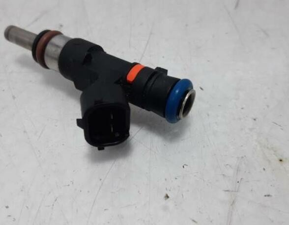 Injector Nozzle RENAULT Captur I (H5, J5), RENAULT Clio IV (BH)