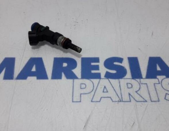 Injector Nozzle RENAULT Captur I (H5, J5), RENAULT Clio IV (BH)