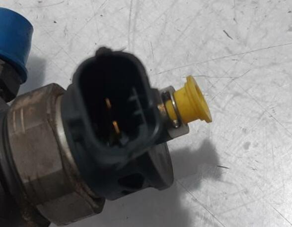 Injector Nozzle RENAULT Captur I (H5, J5), RENAULT Clio IV (BH)