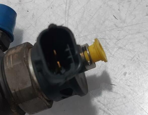 Injector Nozzle RENAULT Captur I (H5, J5), RENAULT Clio IV (BH)