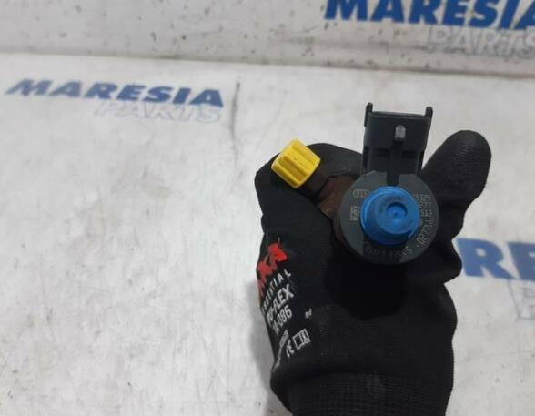 Injector Nozzle PEUGEOT 308 SW II (LC_, LJ_, LR_, LX_, L4_)