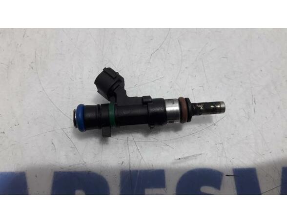 Injector Nozzle RENAULT Captur I (H5, J5), RENAULT Clio IV (BH)