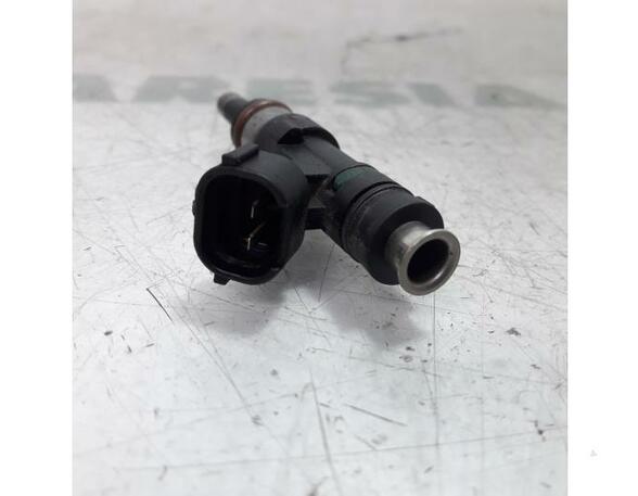 Injector Nozzle RENAULT Captur I (H5, J5), RENAULT Clio IV (BH)