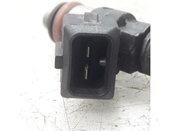 Injector Nozzle RENAULT Clio III (BR0/1, CR0/1), RENAULT Clio IV (BH)