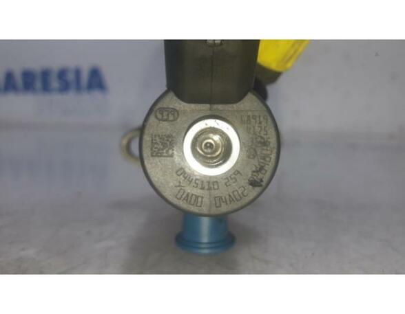 Injector Nozzle PEUGEOT 207 (WA, WC)