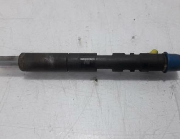 Injector Nozzle RENAULT Kangoo Express (FC0/1)