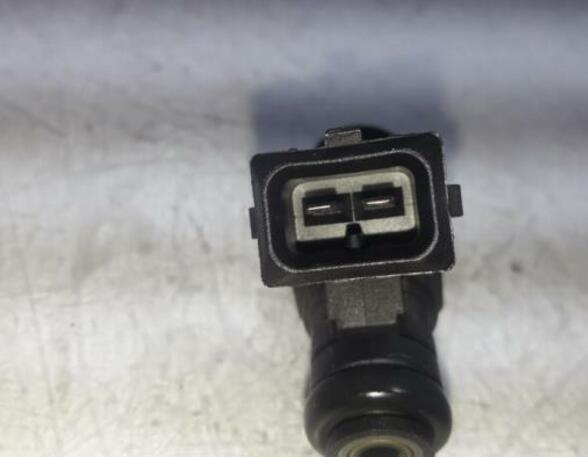 Injector Nozzle RENAULT Clio II (BB, CB), RENAULT Clio III (BR0/1, CR0/1)