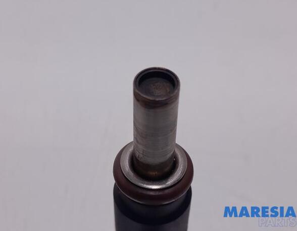 Injector Nozzle PEUGEOT 208 I (CA, CC)