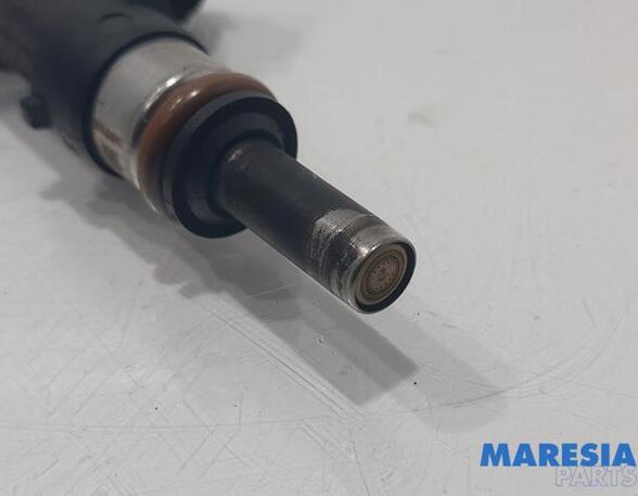 Injector Nozzle RENAULT Captur I (H5, J5), RENAULT Clio IV (BH)