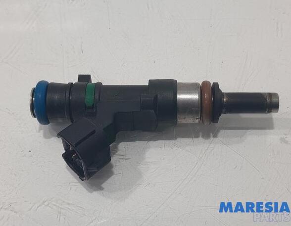 Injector Nozzle RENAULT Captur I (H5, J5), RENAULT Clio IV (BH)