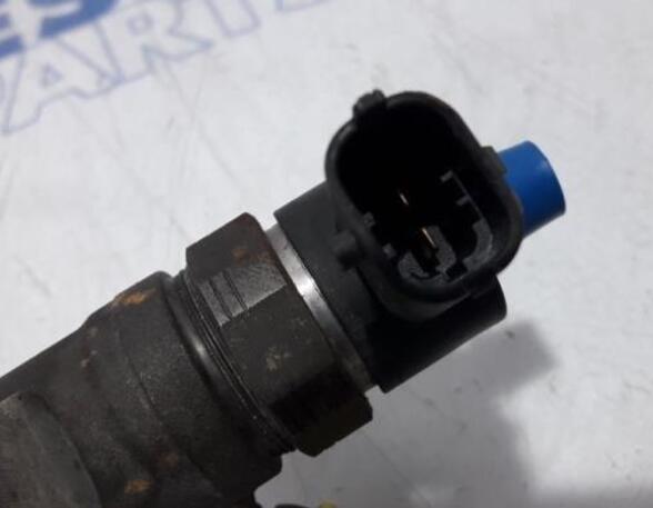 Injector Nozzle RENAULT Master III Kasten (FV), RENAULT Master III Pritsche/Fahrgestell (EV, HV, UV)