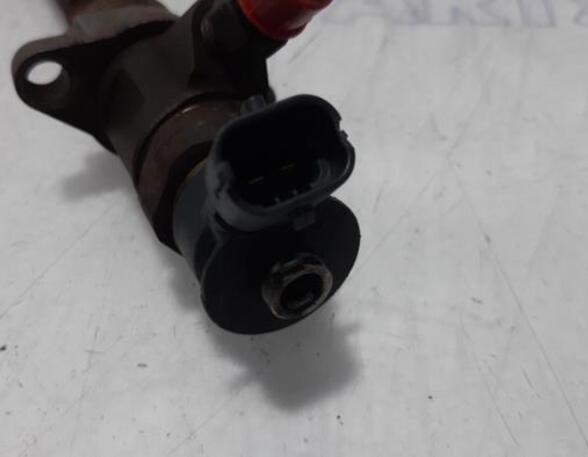 Injector Nozzle CITROËN C5 III (RD_)