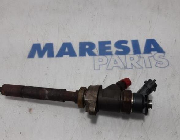 Injector Nozzle CITROËN C5 III (RD_)