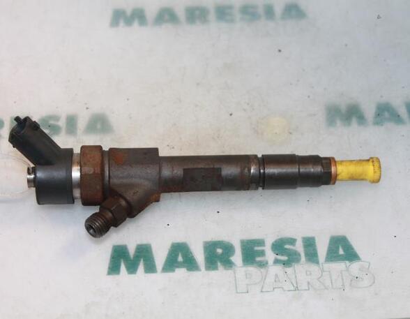 Injector Nozzle RENAULT MEGANE II Coupé-Cabriolet (EM0/1_)