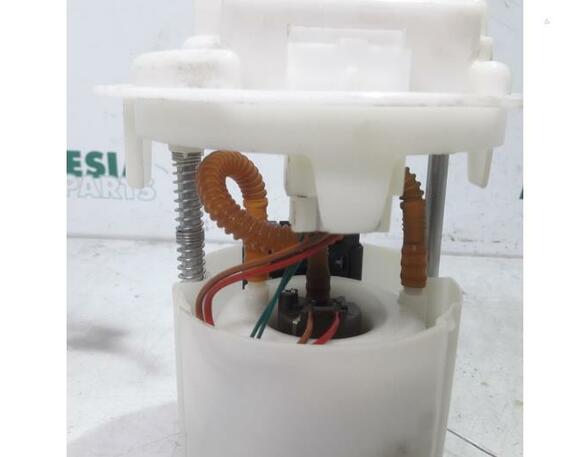 Fuel Pump PEUGEOT 207 CC (WD)