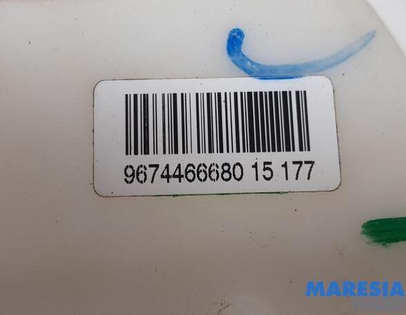 Fuel Pump PEUGEOT 208 I (CA_, CC_), CITROËN C4 CACTUS, CITROËN DS3 Convertible, DS DS 3 Convertible (SB_)
