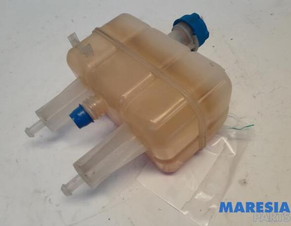 Coolant Expansion Tank FIAT Ducato Kasten (250, 290), FIAT Ducato Bus (250, 290), FIAT Ducato Kasten (250)