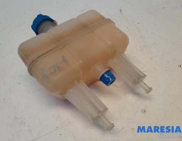 Coolant Expansion Tank FIAT Ducato Kasten (250, 290), FIAT Ducato Bus (250, 290), FIAT Ducato Kasten (250)