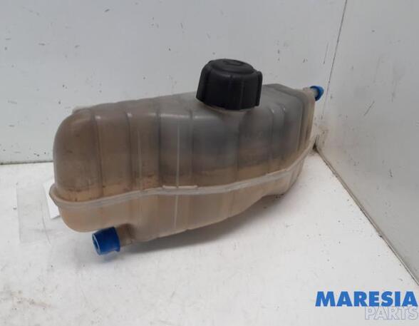 Coolant Expansion Tank RENAULT CLIO III (BR0/1, CR0/1)