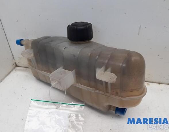 Coolant Expansion Tank RENAULT CLIO III (BR0/1, CR0/1)