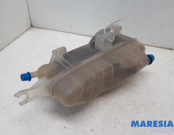 Coolant Expansion Tank RENAULT CLIO III (BR0/1, CR0/1)