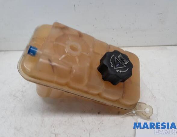 Coolant Expansion Tank CITROËN C5 III (RD_), PEUGEOT 3008 MPV (0U_), CITROËN DS3, PEUGEOT 508 SW I (8E_)