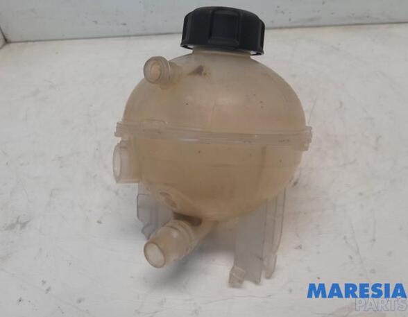 Coolant Expansion Tank PEUGEOT 3008 MPV (0U_), PEUGEOT EXPERT Van (V_), OPEL VIVARO C Van (K0), OPEL CORSA F (P2JO)