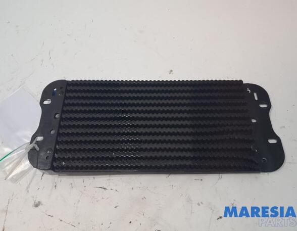 Fuel Radiator RENAULT Master III Kasten (FV)