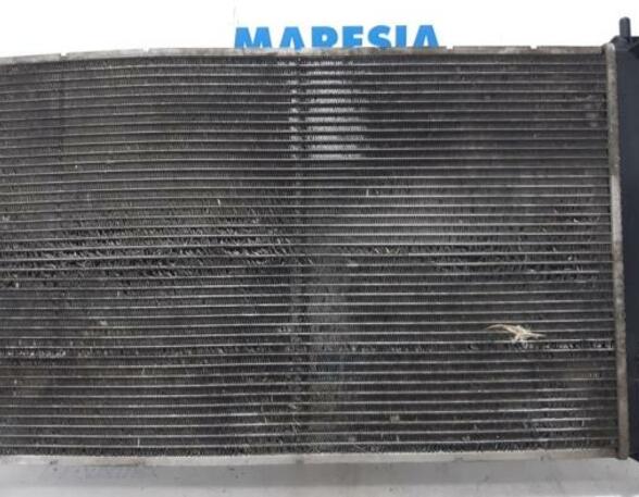 Radiateur FIAT Grande Punto (199), FIAT Punto (199), FIAT Punto Evo (199)