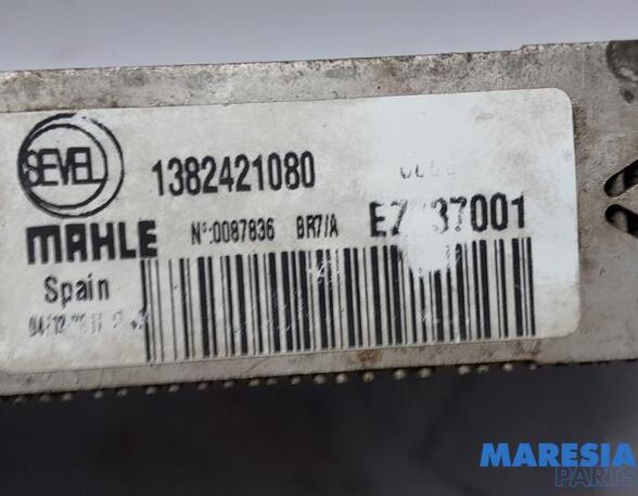 Kühler Fiat Ducato Kasten 250 1382421080 P20700413