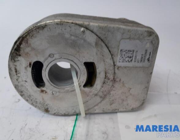 Oil Cooler RENAULT KANGOO Express (FW0/1_)