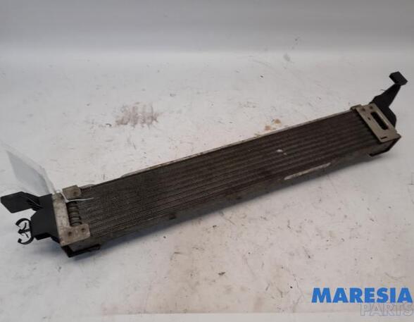 Oil Cooler RENAULT SCÉNIC III (JZ0/1_), RENAULT GRAND SCÉNIC III (JZ0/1_)