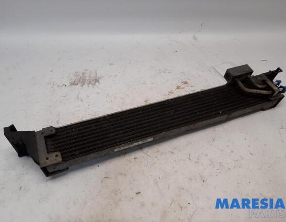 Oil Cooler RENAULT SCÉNIC III (JZ0/1_), RENAULT GRAND SCÉNIC III (JZ0/1_)