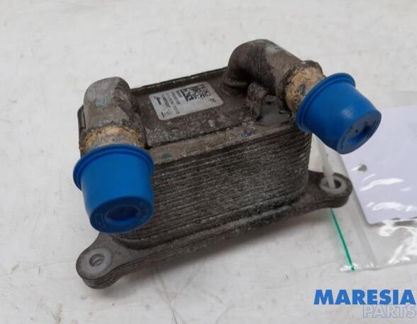 Oil Cooler RENAULT KANGOO / GRAND KANGOO (KW0/1_)