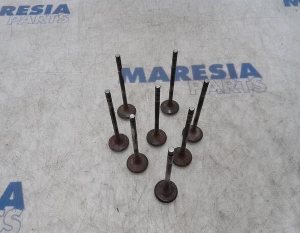 Exhaust Valve RENAULT Laguna III (BT0/1)