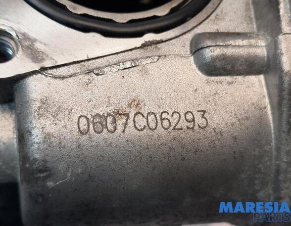 Throttle Body RENAULT KANGOO Express (FW0/1_)