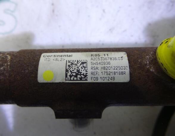 Petrol Fuel Rail RENAULT MEGANE III Hatchback (BZ0/1_, B3_)