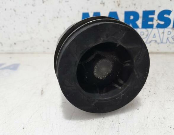 Piston RENAULT Captur I (H5, J5), RENAULT Clio IV (BH)