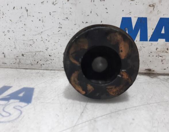 Piston FIAT DOBLO Cargo (263_)