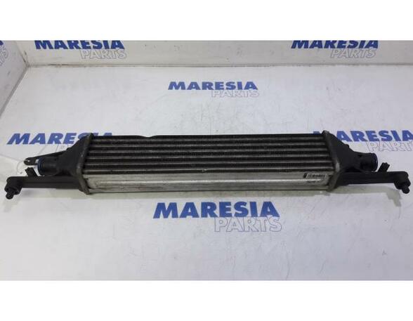 Intercooler FIAT Punto (199)