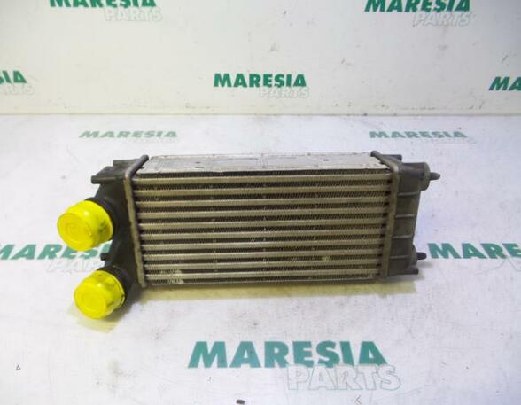 Intercooler PEUGEOT 308 I (4A, 4C), PEUGEOT 308 SW I (4E, 4H)