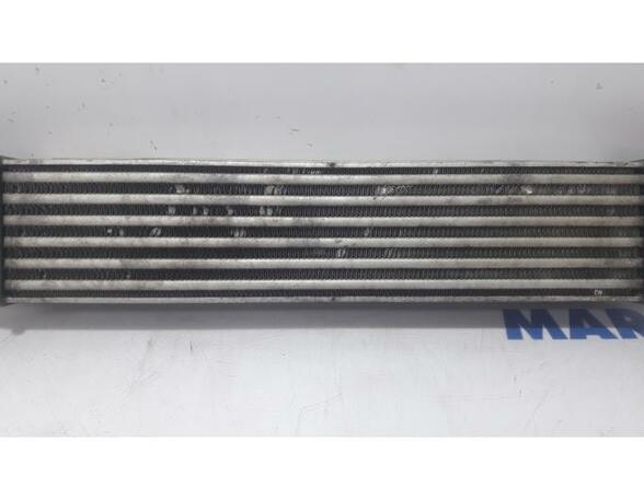 Intercooler FIAT Grande Punto (199), FIAT Punto (199), FIAT Punto Evo (199)