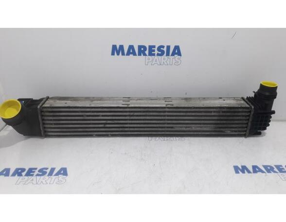 Intercooler RENAULT MEGANE III Grandtour (KZ0/1)