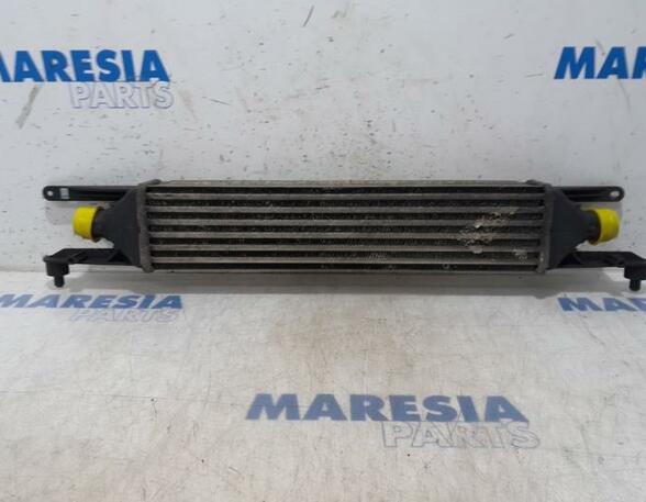 Intercooler FIAT Grande Punto (199), FIAT Punto (199), FIAT Punto Evo (199)