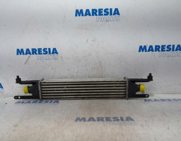 Intercooler FIAT Grande Punto (199), FIAT Punto (199), FIAT Punto Evo (199)